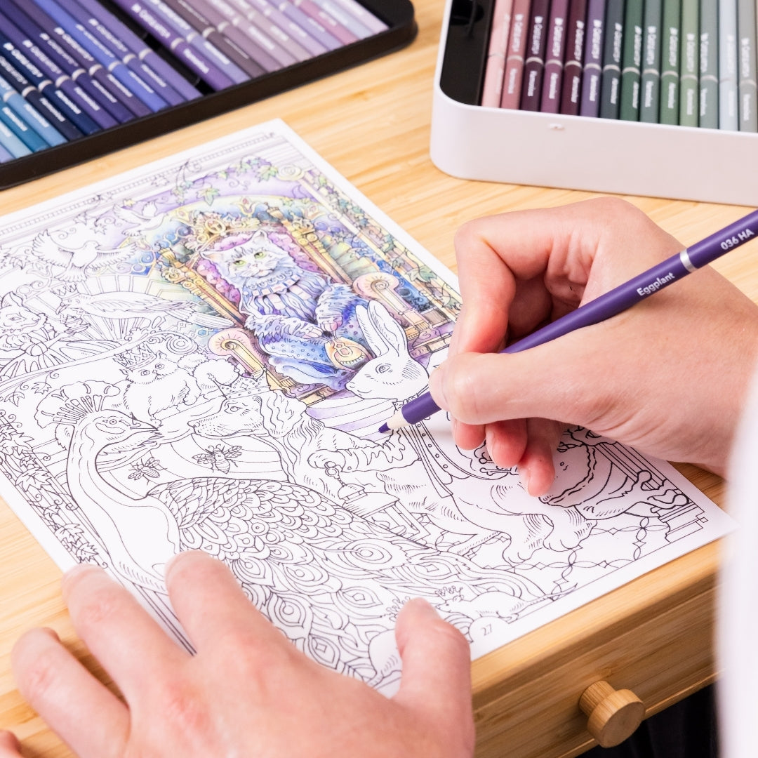 Ensemble de crayons de couleur harmonieux de 72 pièces