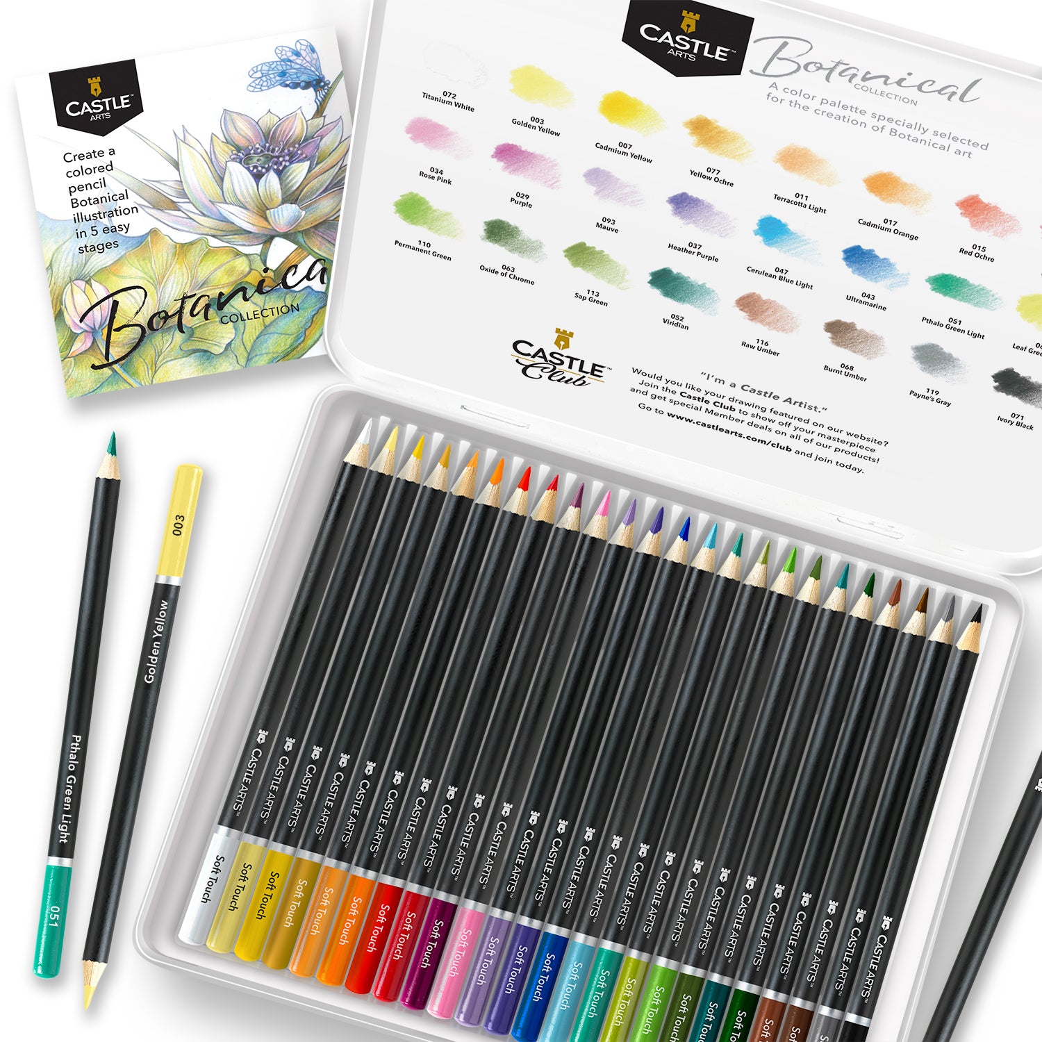 Lápiz de color botánico de 24 piezas juego de lápiz en la lata de pantalla