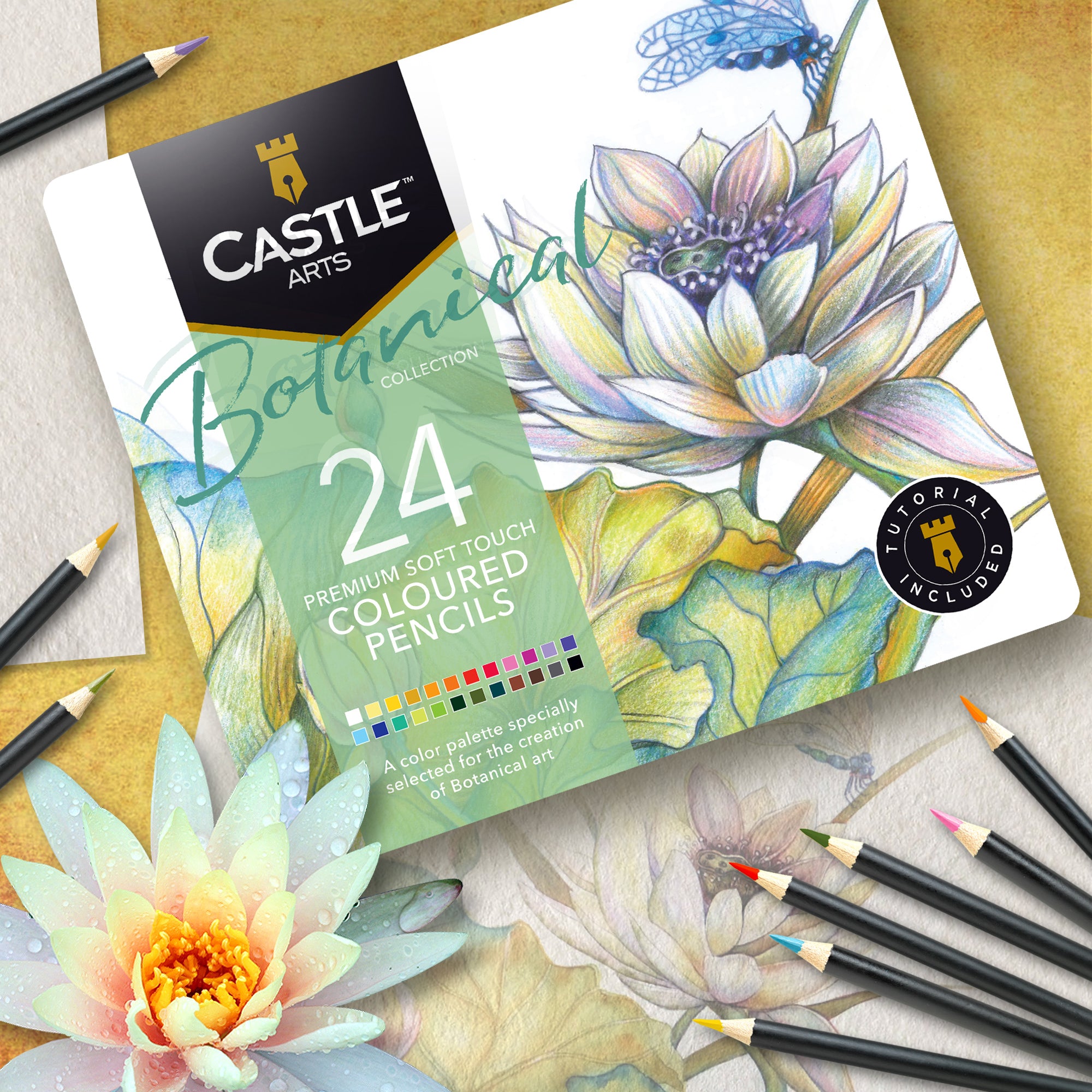 Lápiz de color botánico de 24 piezas juego de lápiz en la lata de pantalla