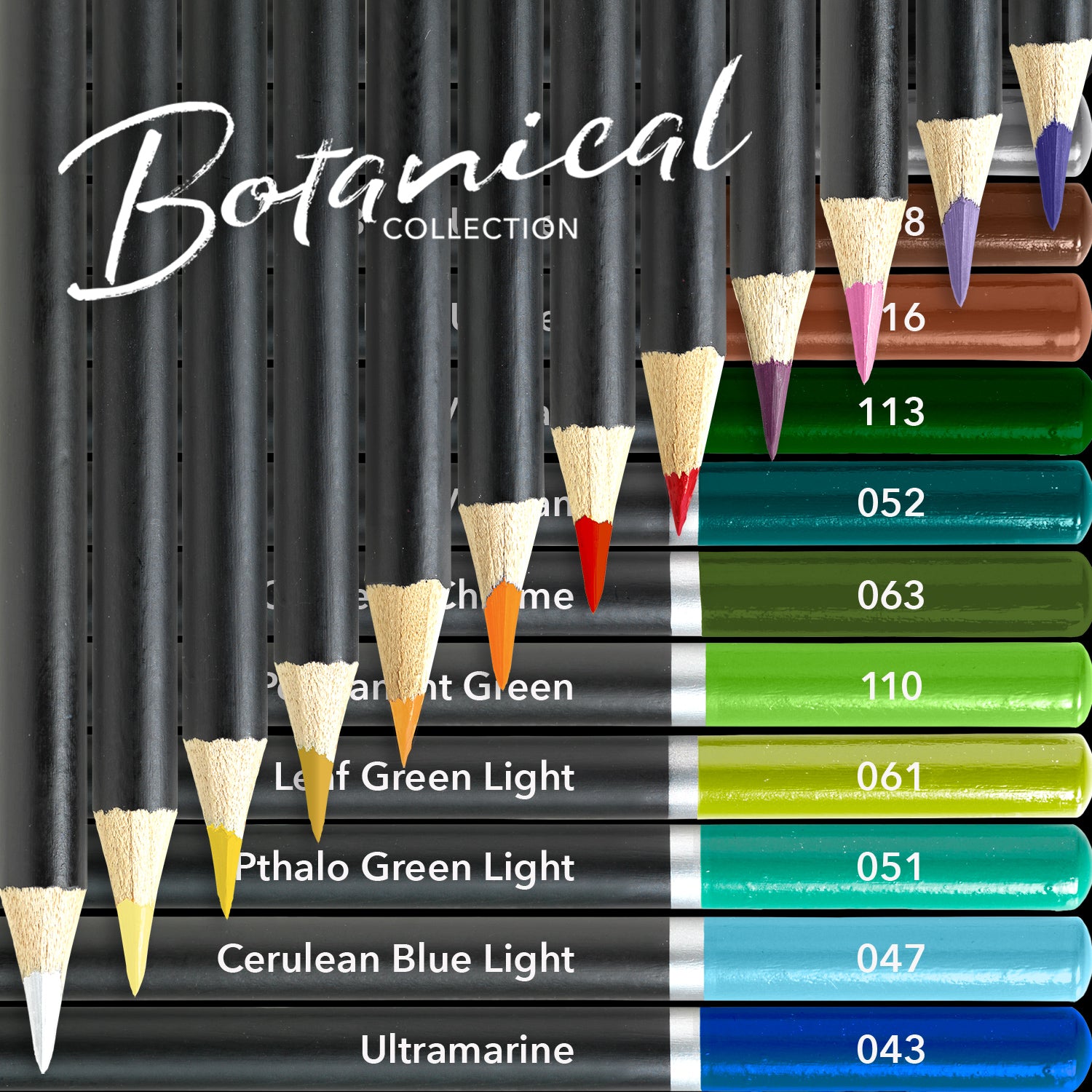 Lápiz de color botánico de 24 piezas juego de lápiz en la lata de pantalla
