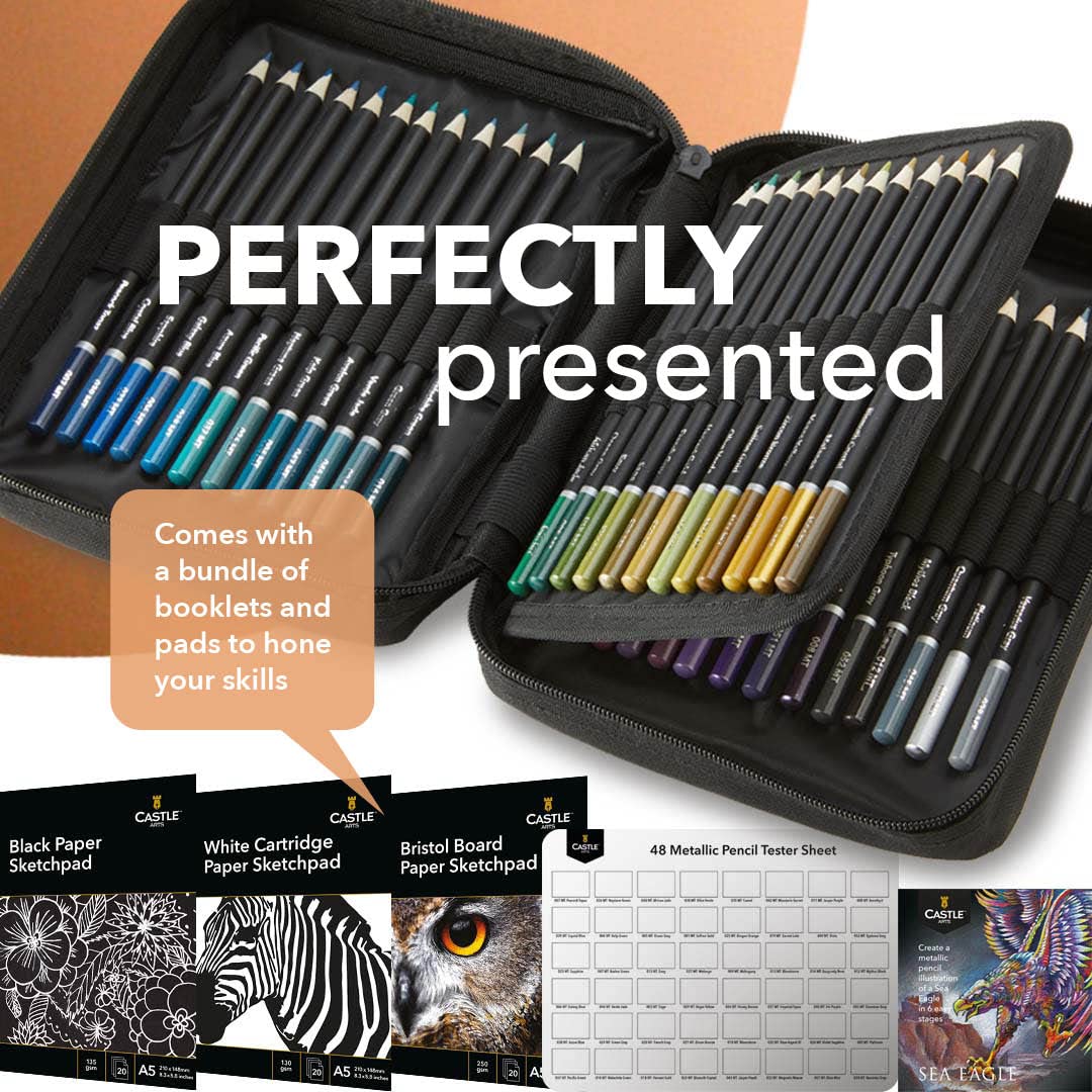 Crayon de couleur métallique de 50 pièces ensemble dans un boîtier zippé