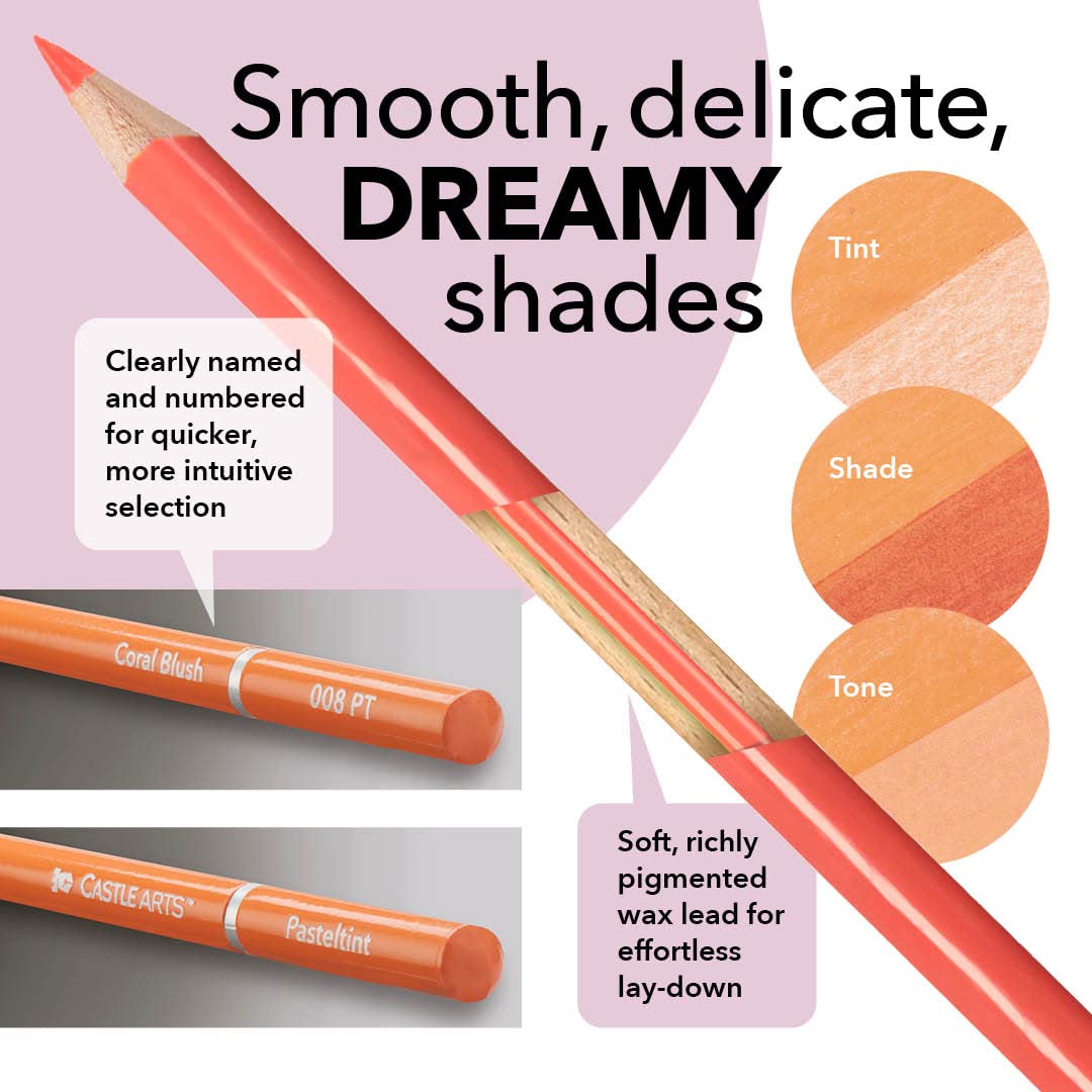 Crayon de couleur pasteltint de 50 pièces ensemble dans un boîtier zippé
