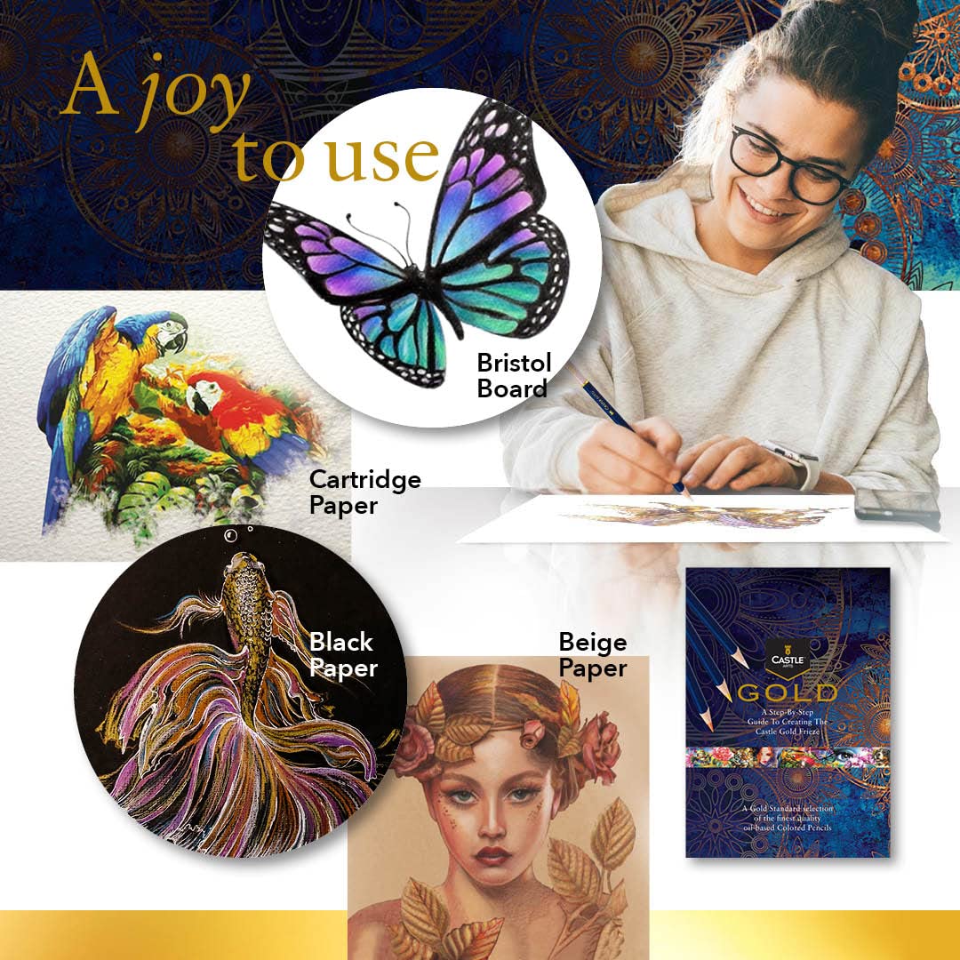 120 pièces <tc>Castle Gold</tc> Coffret de crayons de couleur dans un étui zippé