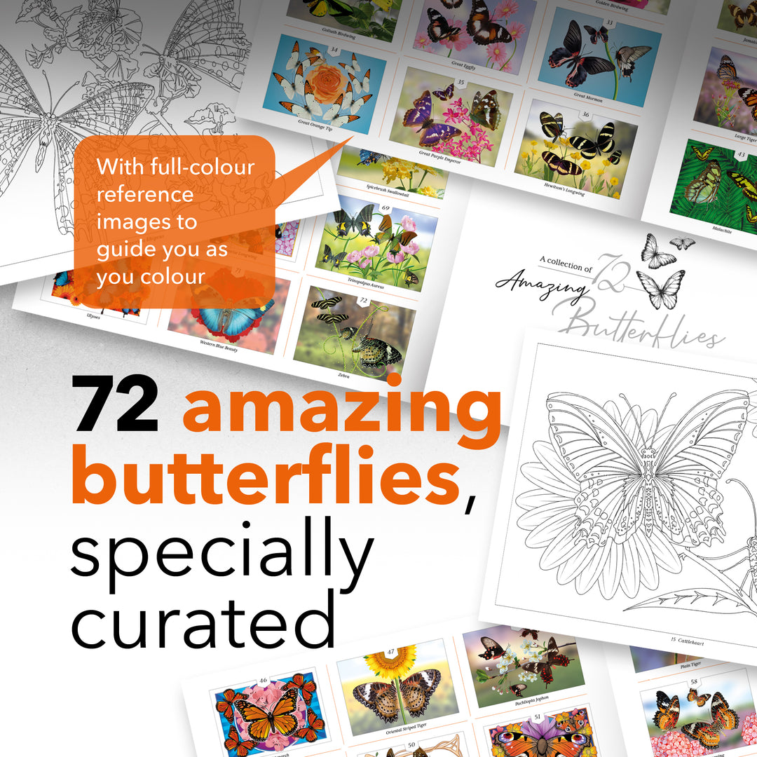 72 Seiten Erstaunliche Schmetterlinge Malbuch